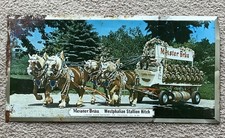 Vintage 1965 meister for sale  Hebron