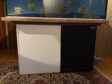 Aquarium goldenen fischen gebraucht kaufen  Weinsberg