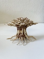 Natural driftwood aquariums for sale  Costa Mesa
