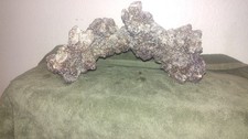 Purple coraline medium for sale  Sacramento