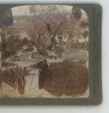 Palestine jerusalem ancient for sale  Bolton