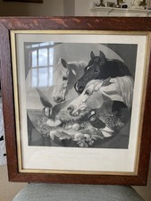 Antique original engraving for sale  SALISBURY