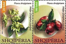 Selos da Albânia 2023. Flora: Ziziphus jujuba. Frutas. Flor. Conjunto MNH comprar usado  Enviando para Brazil