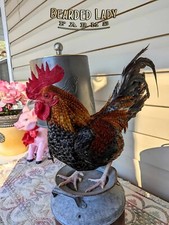 Fertile hatching eggs for sale  Denmark