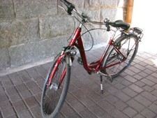 Damenrad pegasus alu gebraucht kaufen  Wilkau-Haßlau
