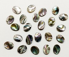 Vintage genuine abalone for sale  Johnston