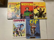 Lotto fumetti western usato  Capaccio Paestum