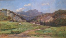 Giulio fiori bologna usato  Cesenatico