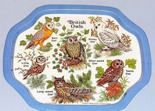 British owls tin for sale British owls tin for sale  FELIXSTOWE