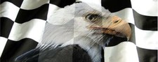 Checkered flag eagle for sale  Forest City