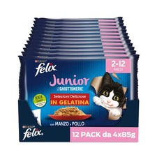 Felix ghiottonerie junior usato  Italia
