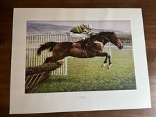 Istabraq race horse for sale  AYLESBURY