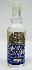 Miniature sambuca romana usato  Romano di Lombardia