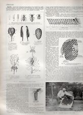Larousse agricole 1921 d'occasion  Saint-Quentin