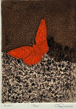 Flight flying red for sale  Westfield