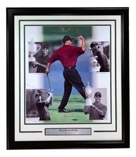 Tiger woods signed for sale  Swedesboro