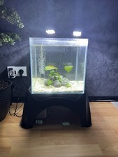 Aquarium gebraucht kaufen  Essen