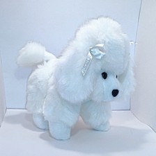 White toy poodle for sale  Seaside
