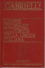 Grande dizionario illustrato usato  Cambiago