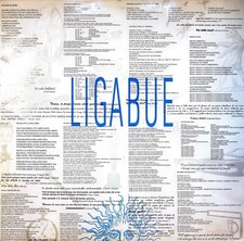 Ligabue ligabue usato  San Benedetto del Tronto