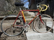 1977 colnago super. for sale  Port Washington