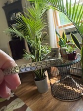 Vintage danecraft sterling for sale  North Bennington