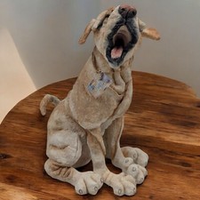 Breed apart yellow for sale  Monticello