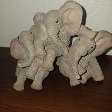 Tuskers paw prints for sale  Sierra Vista
