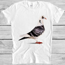 Homing pigeon pet for sale  READING