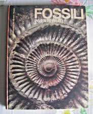 Fossili invertebrati meravigli usato  Busto Arsizio