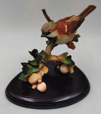Country artists sparrow for sale  HUDDERSFIELD