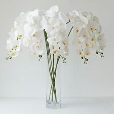 Top quality ivory for sale  HATFIELD