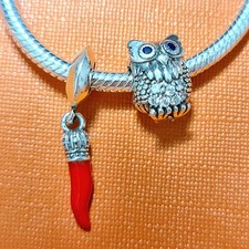 Set charm argento usato  Paterno