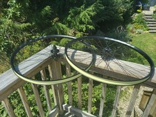 Wtb proterra light for sale  Mystic