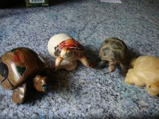 Schildkröten material verschi gebraucht kaufen  Münster
