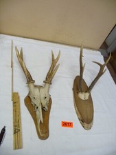 2617 altes rehbock gebraucht kaufen  Hilpoltstein