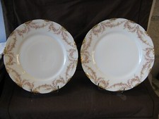 Magnifique paire assiettes d'occasion  Lorgues