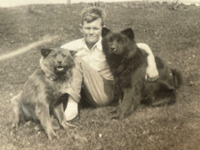 Leslie blackmore dogs for sale  CASTLE DOUGLAS