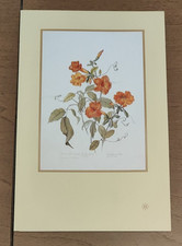 Menù prima classe usato Menù prima classe usato  Adria