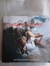 Tamburro antonio usato  Villorba