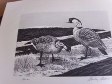 1964 federal duck for sale  Coloma