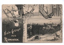 Grüsse rominten stpreußen gebraucht kaufen  Neugersdorf