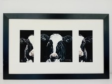 Toni hargreaves cow for sale  UK
