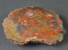 Redwood limb cast for sale  Salt Lake City