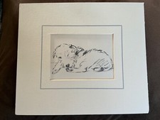 Sealyham terrier dog for sale  SOUTHAMPTON