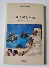 Pietra viva vito usato  Russi