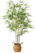 Artificial bamboo plants for sale  SALFORD