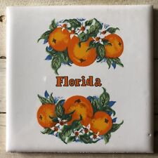 Florida 4x4 ceramic for sale  Decatur