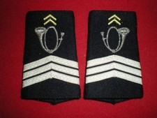 Paire epaulettes sgc d'occasion  Luçon