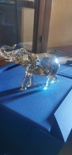 Swarovski scs cinta usato  Milano
